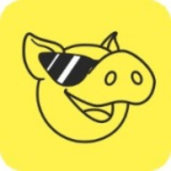 豪猪网app 3.4.9 安卓版